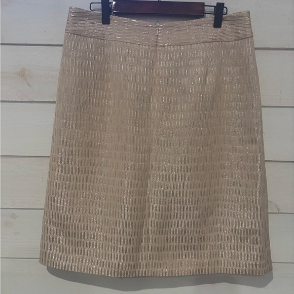 Talbots NWT Shimmering Beige Pencil Skirt in size 8 - Picture 2 of 16